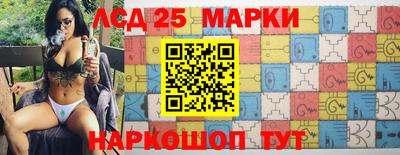 гидра Новозыбков