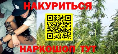 сатива Новодвинск