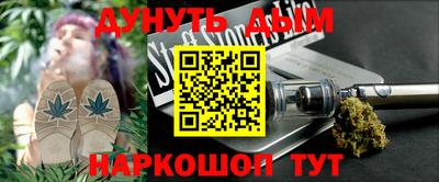 гидра Новозыбков
