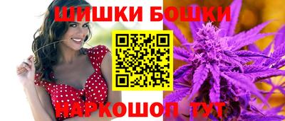 гидра Новозыбков