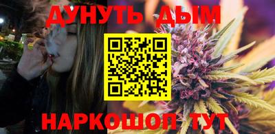 гидра Новозыбков