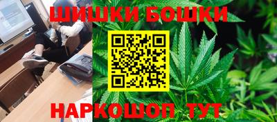 гидра Новозыбков