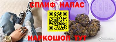 гидра Новозыбков