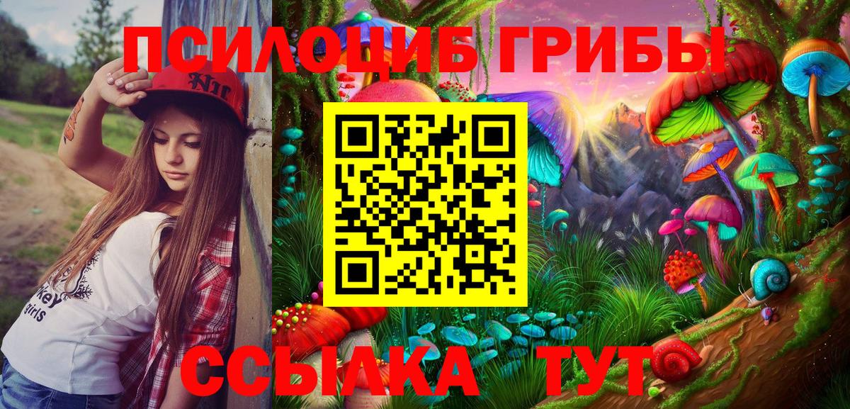 Канск  Псилоцибиновые грибы GOLDEN TEACHER  Галлюциногенные грибы MAGIC MUSHROOMS  Вход с VPN 